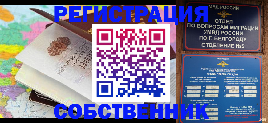 временная регистрация гарантия в Жердевке